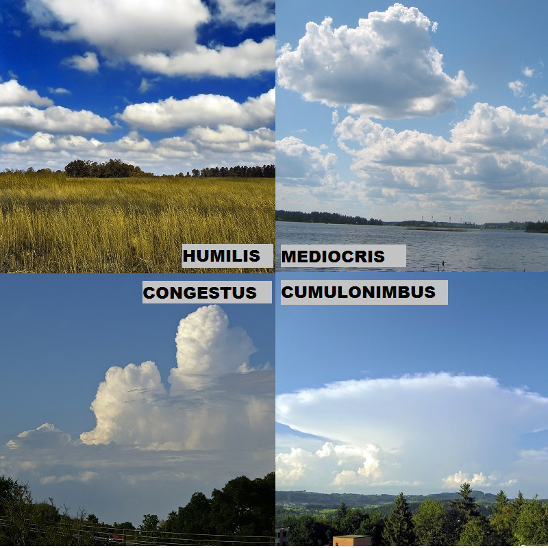 Types Of Cumulus Clouds