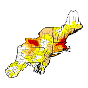 Drought conditions in the northeast.