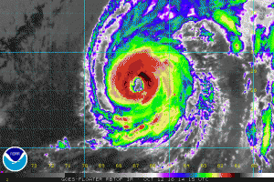 Color enhanced satellite view of Hurricane Nicole.