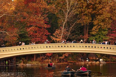 Frank Little captures the autumn foliage in Central Park, New York City.