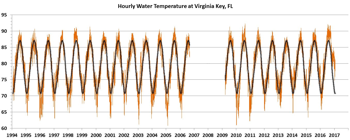 Hourly water temperature at Virginia Key compared to average. This past year shows the actual temperature well above average beginning last summer. Credit: Rosenstiel School of Marine and Atmospheric Science.