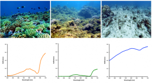 Spectrometer readings show a healthy coral reef, left, algal overgrowth, middle, and coral rubble and sand (perhaps from bleaching), right. Image: NASA