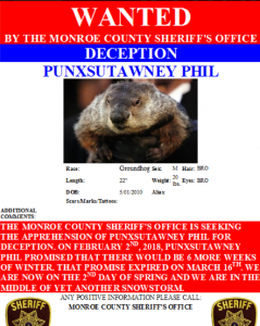 Monroe County, Pennsylvania issued this Wanted Posted for Punxsutawney Phil. Image: Monroe County Sheriff's Department / Facebook