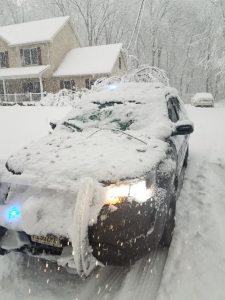 A tree fell on this patrol car and shattered windshield. Fortunately, there were no injuries Image: South Brunswick Police Department