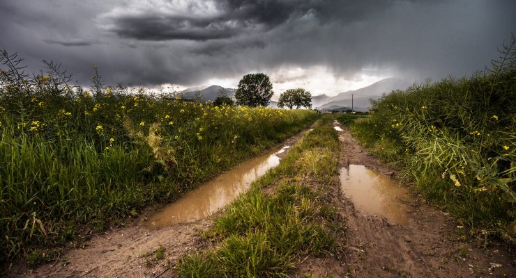 The process of rain and thunderstorms helps produce a situation that release distinct scents into the air.