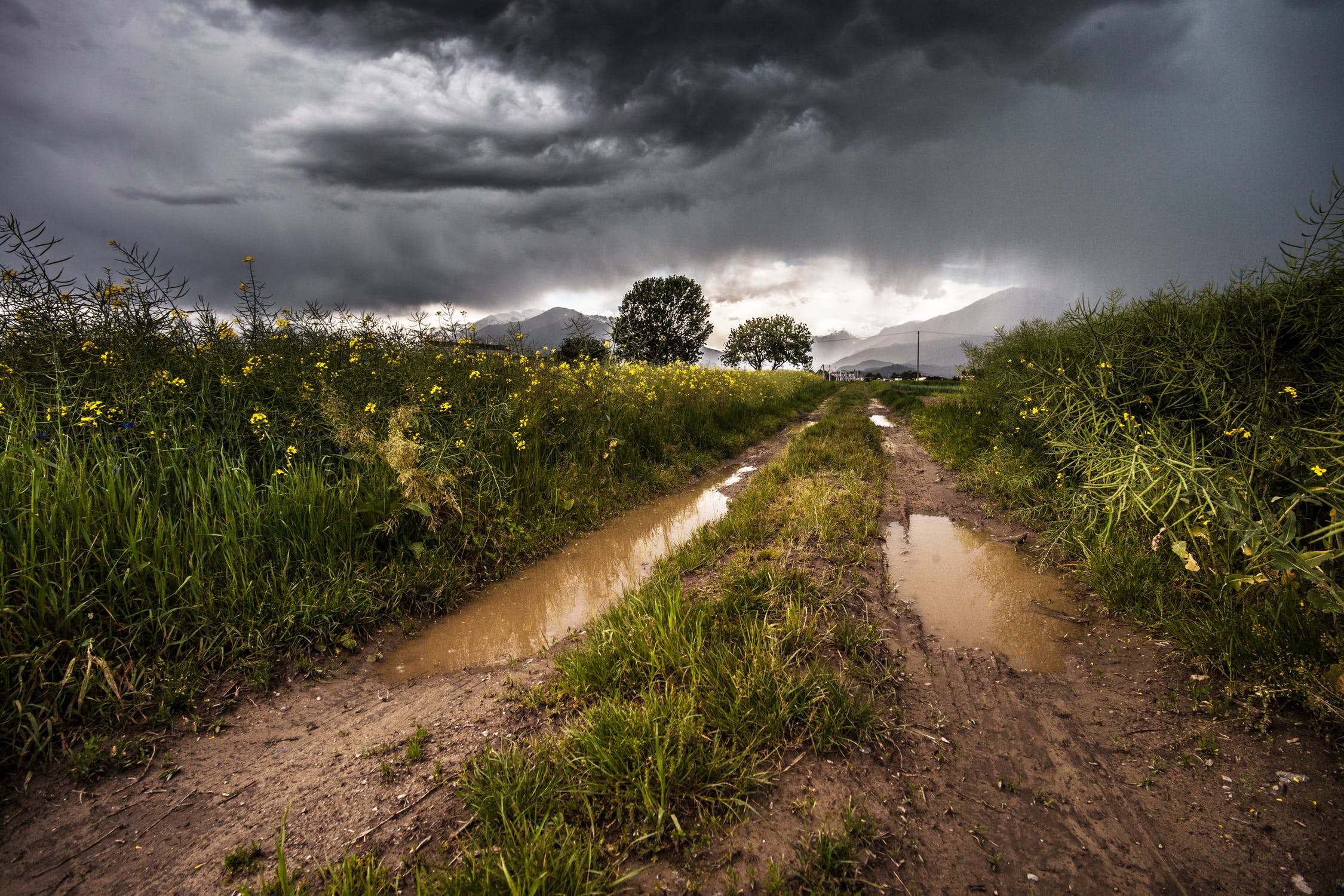 What Is The Smell Called Before It Rains