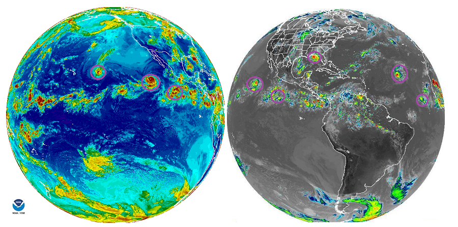 The purple circles on these satellite views of the Pacific and Atlantic hurricane basins show many storms or soon-to-be-storms moving about as the peak of hurricane season arrives. Image: NOAA / weatherboy.com