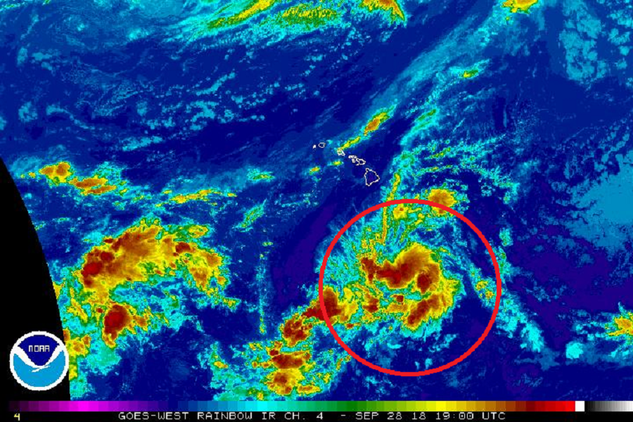 A system south of Hawaii is likely to become Tropical Storm Walaka in time. Image: NOAA