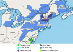 Frost and Freeze advisories are up for portions of the northeast tonight. Image: weatherboy.com