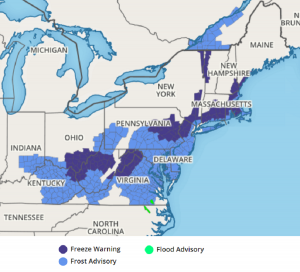 Frost and freeze advisories are up for expected conditions tonight and tomorrow morning. Image: weatherboy.com