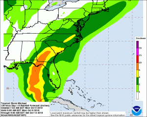 Extremely heavy rain is expected to fall this week from Hurricane Michael. Image: NWS