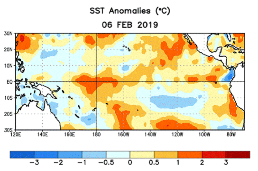 Average Sea Surface Temperatures (SST) anomalies in degrees C for the week centered on February 6. Anomalies are computed with respect to the 1981-2010 base period weekly means. Image: NOAA