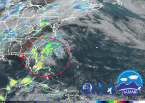The area circled in red has been tracked by the National Hurricane Center all week. Image: NOAA