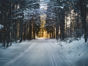 The Winter Solstice arrives on December 21, 2019 at 11:19pm ET.