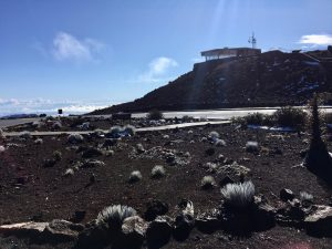 With snow and ice melting, roads and parks are now open on Hawaii's Maui Island. Image: Haleakala National Park