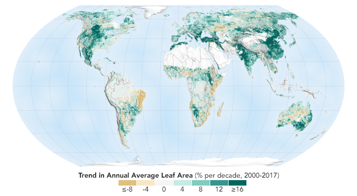 Data collected by Earth observing satellites, NASA's Terra and Aqua, show there's been significant expansion of "leaf area" throughout the world, with China and India leading the growth.  Image: NASA