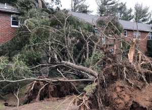 An example of some of the damage from yesterday's severe weather outbreak; this view is from near Elkton, MD where the NWS estimates a tornado with winds estimated up to 100 mph impacted the area. Image: National Weather Service - Mt. Holly, NJ Office