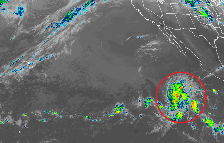The latest imagery from the GOES-West weather satellite shows a much better organized system than it did this time yesterday over the eastern Pacific. Image: NOAA
