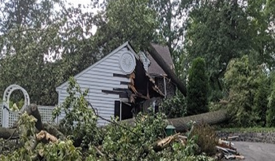 Friday's tornado dropped a tree through this house in Delaware. Image: NWS