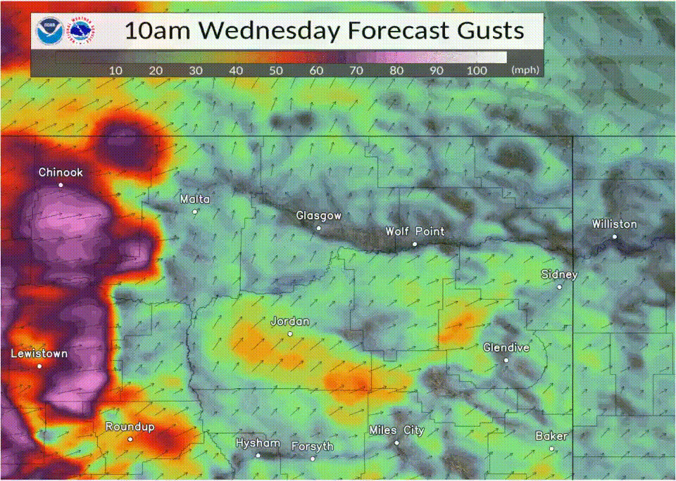 Forecast wind animation for today.  Image: NWS