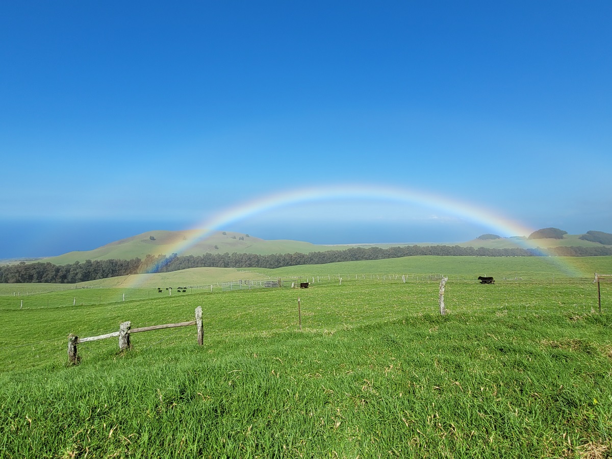 Rainbows are a common sight on Earth, especially at this location in Hawaii, where an abundance of thin clouds and mist travel over the sun-lit surface, delighting viewers with an abundance of rainbows. Image: Weatherboy