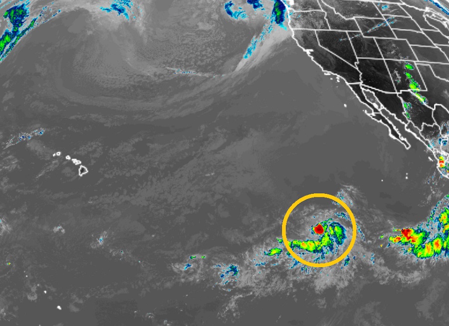 A new tropical depression has formed in the Eastern Pacific ocean. Image: NOAA