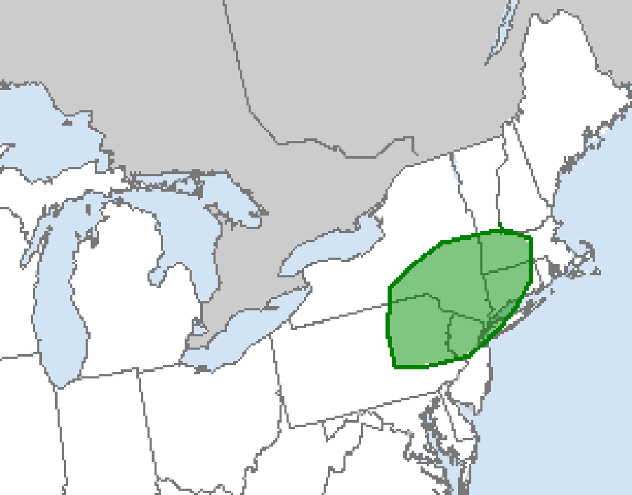 The green shaded area reflects a zone where there's an elevated risk of tornadic thunderstorms tomorrow, according to the National Weather Service's Storm Prediction Center. Image: NWS