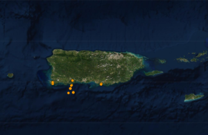 Zoom-in to Puerto Rico shows the location of earthquakes there today. Image: USGS