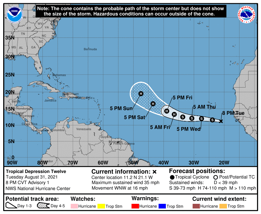 Tropical Depression #12 is likely to become Tropical Storm and Hurricane Larry in the coming days.  Image: NHC