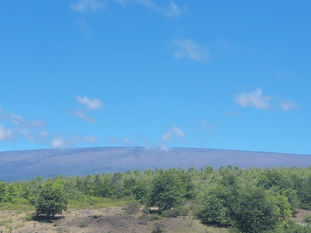 Mauna Loa rises above the Kapapala Forest Reserve on the east side of the Big Island of Hawaii. Image: Weatherboy