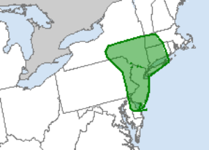 The National Weather Service has identified the area in green as being at risk for tornadoes today. Image: NWS
