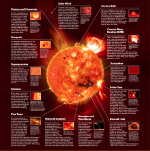 The Sun is constantly churning material and magnetic fields which create an ever-changing landscape of features that last from milliseconds to days. NASA developed this infographic to illustrate a few of the most common features that can be seen on the Sun. Image: NASA/Mary Pat Hrybyk-Keith