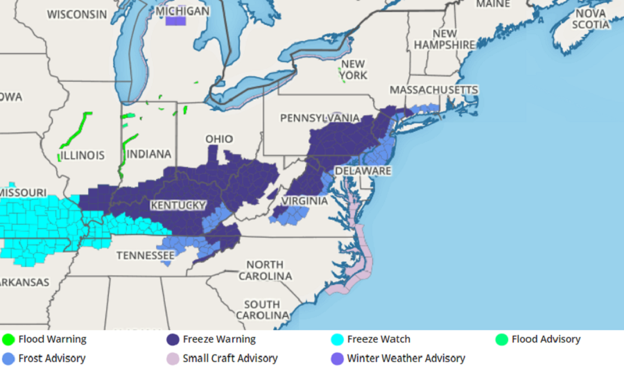 Numerous advisories are up tonight due to forecast low temperatures. Image: weatherboy.com
