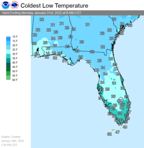 Freezing temperatures are likely in the Sunshine state by Sunday morning. Image: NWS