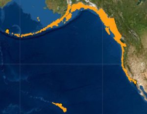 A Tsunami Advisory is now in effect for the orange area which includes the Alaskan coast, the coast of British Columbia, Canada, the entire U.S. West Coast, and Hawaii. Image: NWS Tsunami Warning Center