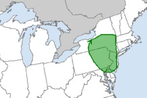 The greatest threat of tornadoes in the U.S. today is over portions of New Jersey, Pennsylvania, and New York, where isolated severe thunderstorms could spawn a few tornadoes this afternoon. Image: SPC