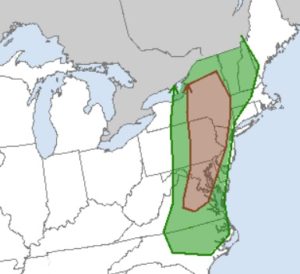 Not everyone will see a tornado tomorrow, but those in the shaded areas have an increased chance of tornadic cells. While tornadoes are possible in the green area on Monday, the brown area has the highest risk of seeing them. Image: NWS