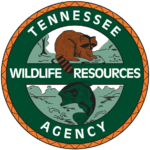 The Tennessee Wildlife Resources Agency announced the bear death.  Image: TWRA