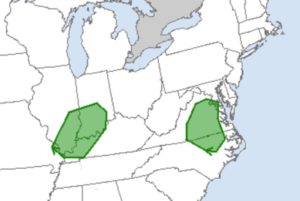 Areas that could see tornadic thunderstorms today are shaded in green. Image: NWS/SPC