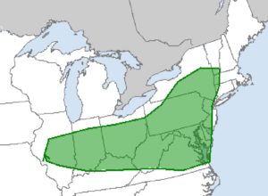 According to the Storm Prediction Center, the area in green has an increased threat level of tornadic thunderstorms on Sunday. Image: NWS/SPC