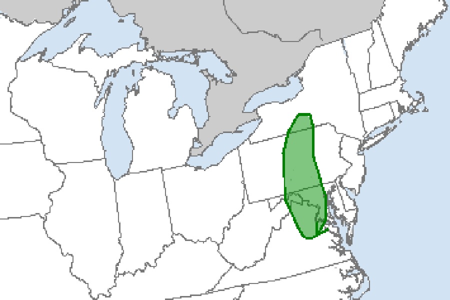 The shaded green area on this map depicts an area where the National Weather Service's Storm Prediction Center believes there's an elevated risk of isolated tornadoes. Image: NWS/SPC