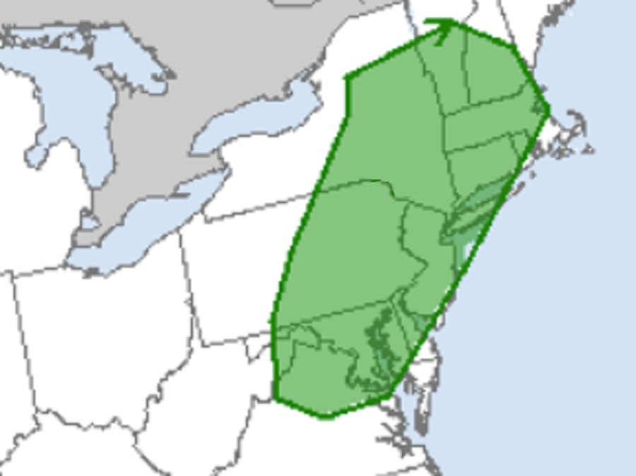 According to the National Weather Service's Storm Prediction Center, the area in green has an elevated risk of tornadoes today. Image: NWS/SPC