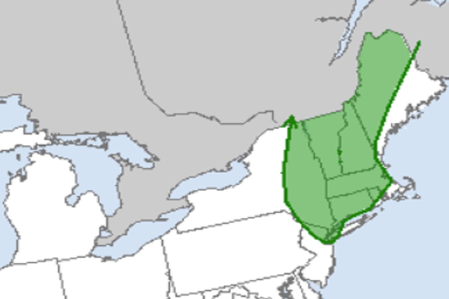 According to the NWS Storm Prediction Center, the area shaded in green in the northeast has an elevated risk of tornadoes on Thursday. Image: SPC