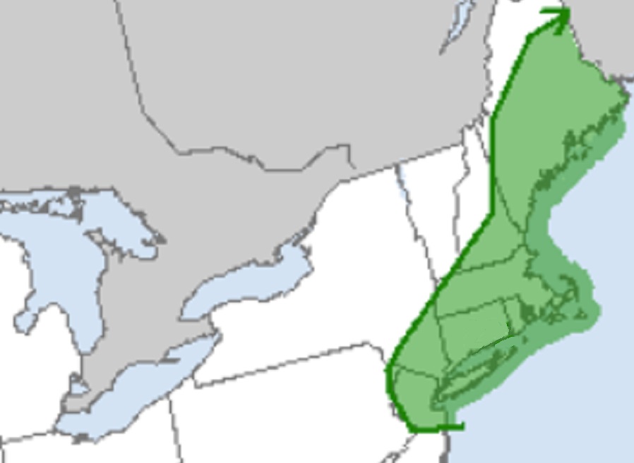 The area in green on this map has an elevated risk of tornadic thunderstorms this afternoon and evening. Image: NWS/SPC