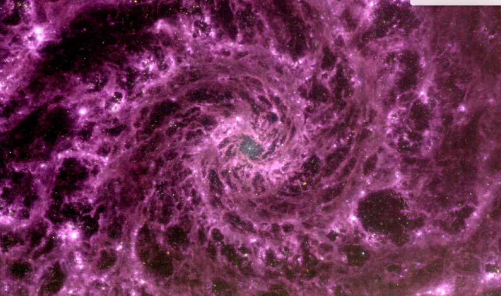 Klein shared this image snapped by the James Webb Space Telescope on Twitter, adding that the image is of the spiraling matter of the M74 Galaxy located roughly 33 million light-years from Earth. Image: Étienne Klein / Twitter