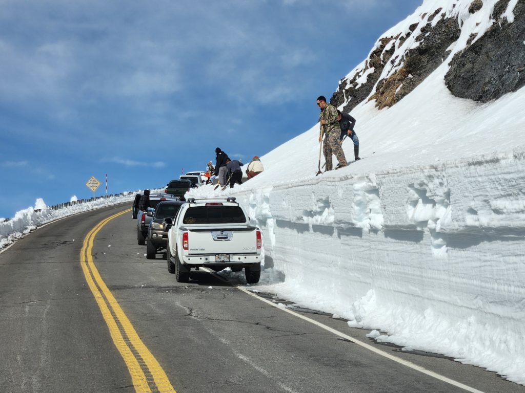 Trucks line up near the summit of Mauna Kea on the Big Island of Hawaii to shovel snow from large roadside drifts to bring back down the mountain with them. Image: Weatherboy