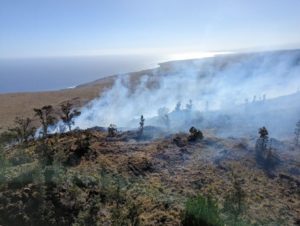 The intense winter storm that hit Hawaii was responsible for igniting this wildfire inside of Hawaii Volcanoes National Park. Image: NPS / M. Wasser