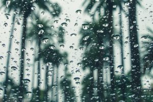 Even the typical dry and sunny coastal areas lined with palm trees will see soaking rains from the atmospheric river events moving through the West through the end of 2022 and start of 2023.