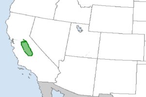 There is an elevated threat of tornadic thunderstorms in the green shaded region here according to the National Weather Service's Storm Prediction Center. Image: SPC