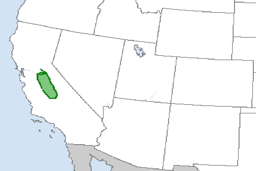 There is an elevated  threat of tornadic thunderstorms in the green shaded region here according to the National Weather Service's Storm Prediction Center.  Image: SPC